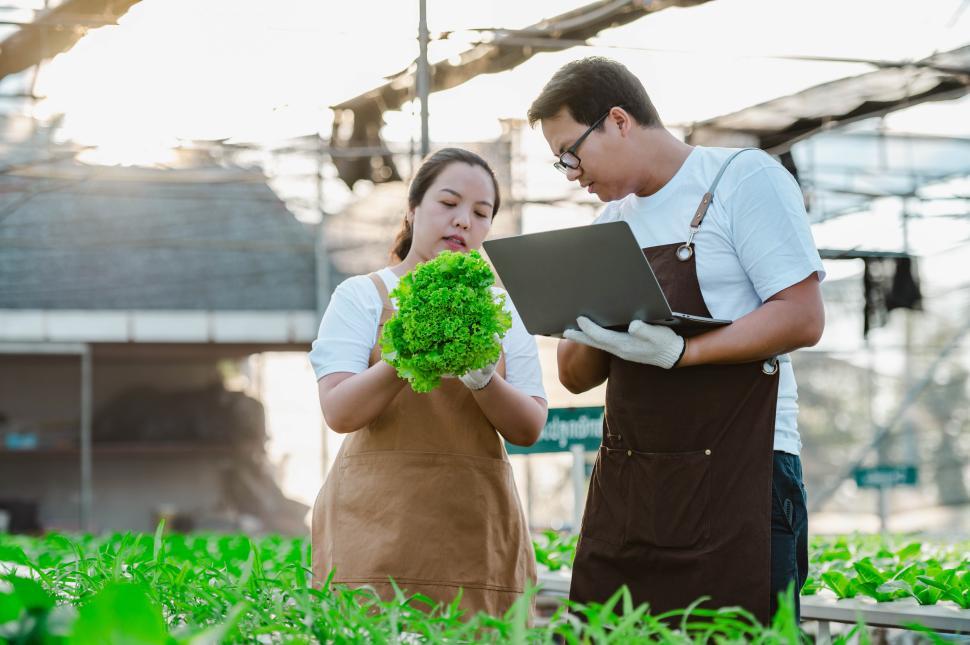 Free Image of Asian farmer man and woman working in organic vegetable hydroponic farm 