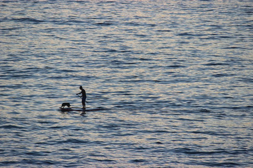 Free Image of Person paddleboarding with a dog on calm ocean waters 