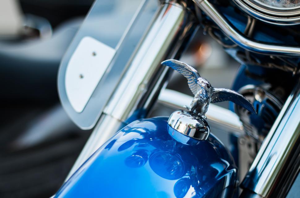 Free Image of Close-up of a classic motorcycle with chrome eagle ornament 