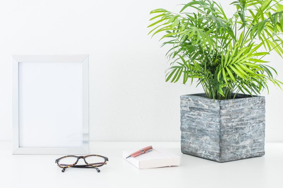 Free Image of Decorative home office arrangement with plant and glasses 