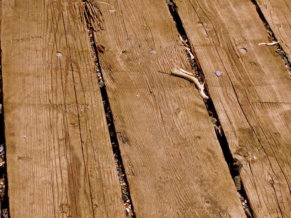 Free Image of Weathered wooden planks create rustic path at outdoor location in daylight 