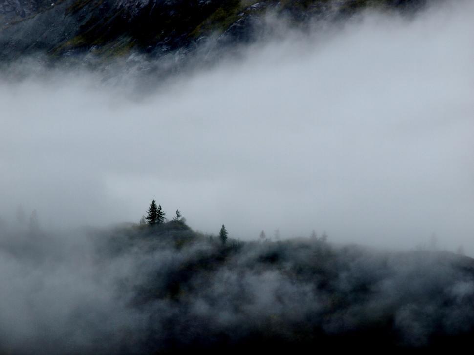 Free Image of Misty landscape with trees in a mountainous region at dawn 