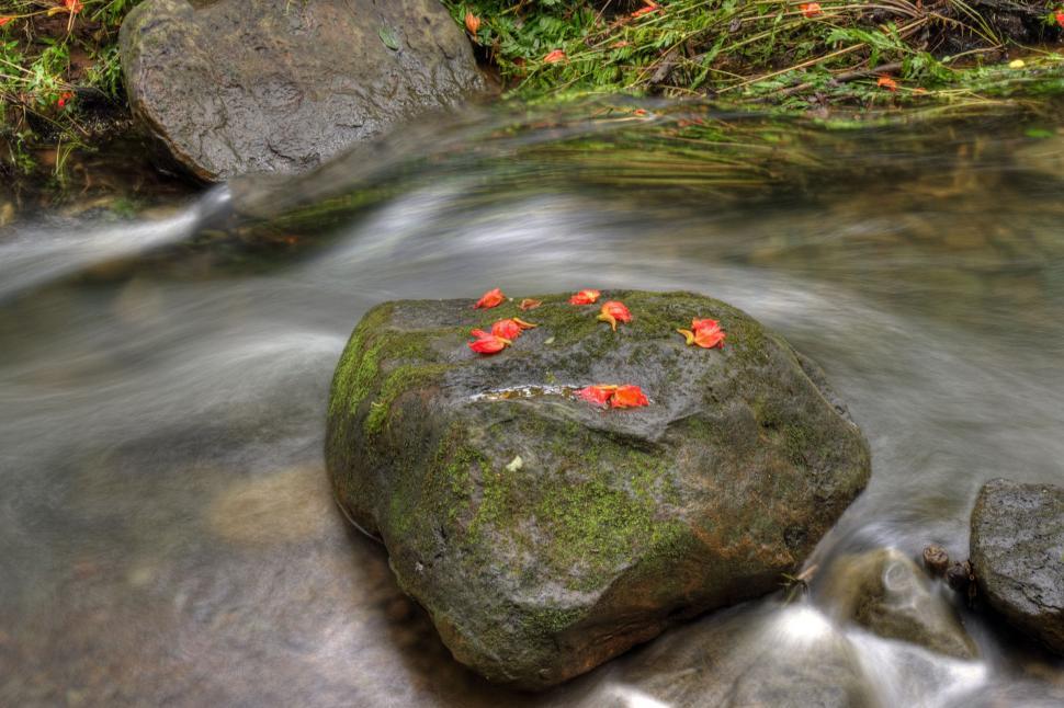 Free Image of Rock 