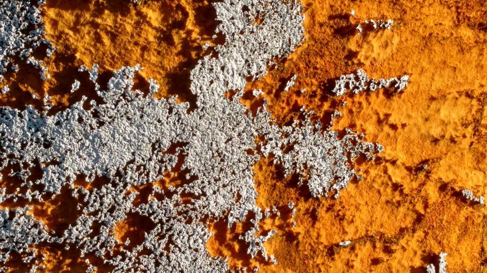 Free Image of Textured surface displaying vibrant orange and silver patterns in nature 