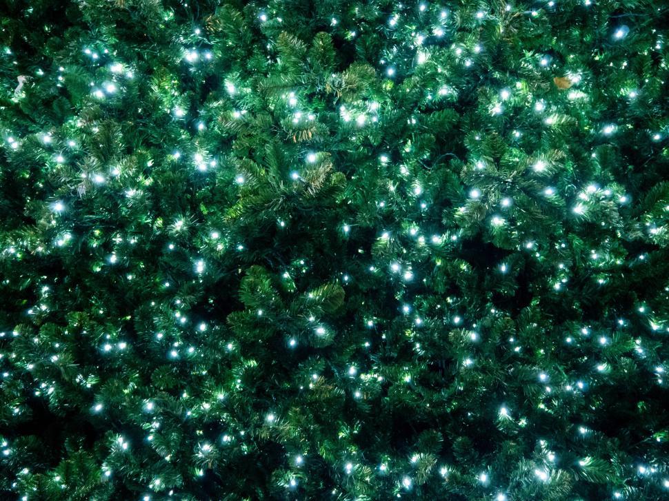 Free Image of Bright green Christmas tree adorned with sparkling white lights for the holidays 