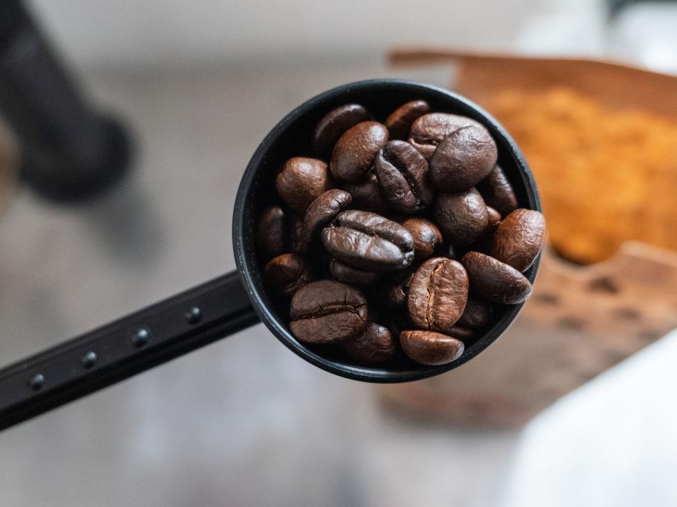 Free Image of Freshly roasted coffee beans in a measuring scoop on a wooden surface 