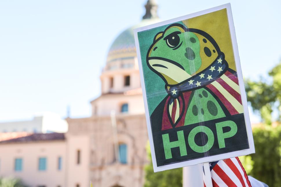 Free Image of Protest sign featuring a frog with patriotic colors during a peaceful demonstration 