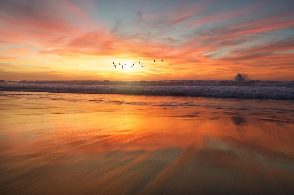 Free Image of Vibrant sunset with birds flying over calm ocean waters 
