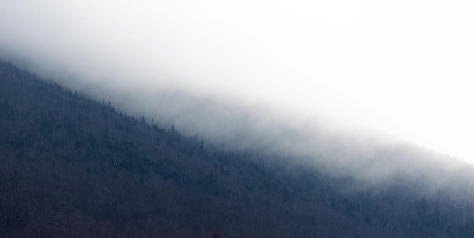 Free Image of Fog envelops mountain landscape at dawn with trees silhouetted against mist 