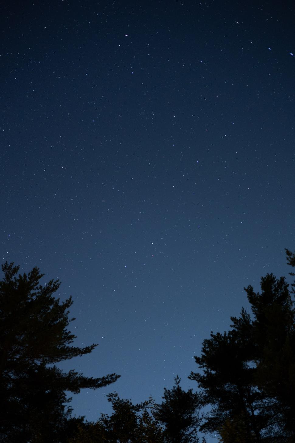 Free Image of Night sky filled with stars over a forest landscape 