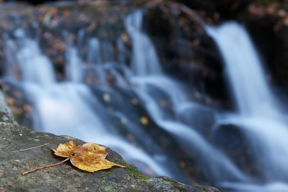Free Image of Elegant yellow leaf resting by a serene waterfall 
