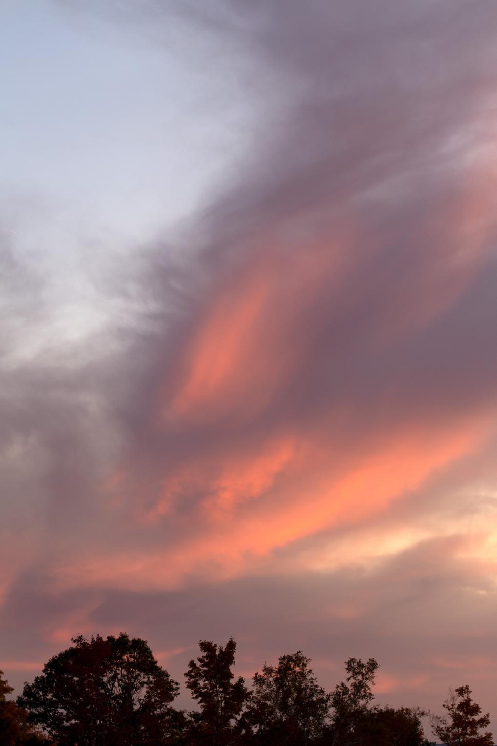 Free Image of Colorful sunset over tree line with vibrant pink and orange clouds 