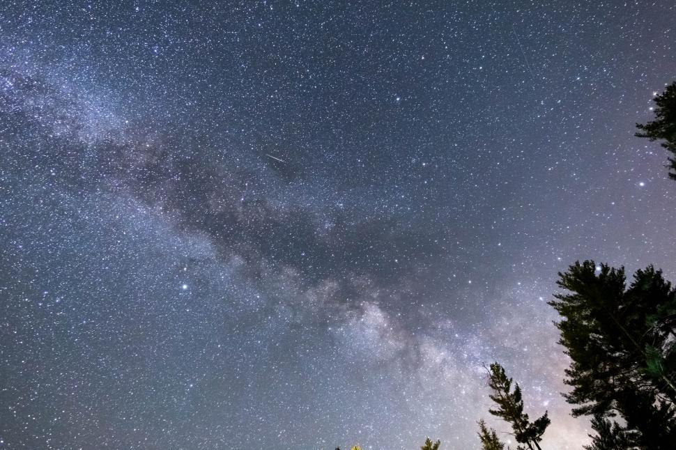 Free Image of Starry night sky over a forest with visible Milky Way 