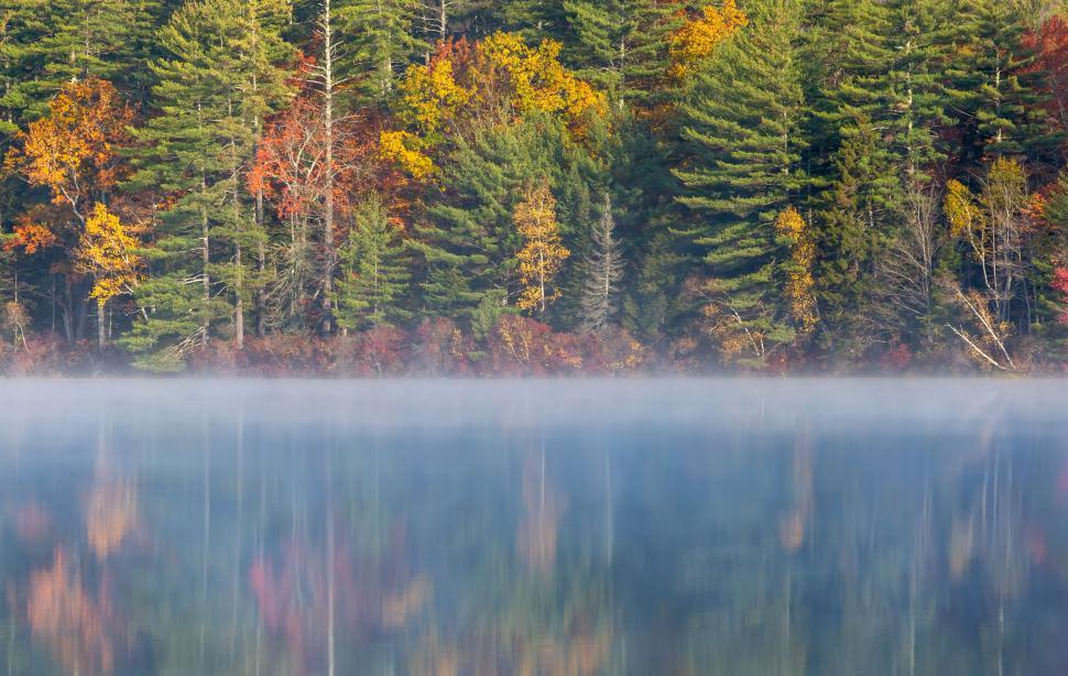 Free Image of Colorful autumn foliage reflected in calm lake waters 