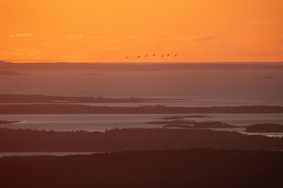 Free Image of Sunset over a tranquil lake with birds flying in formation 