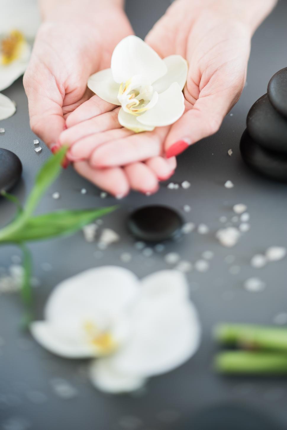 Free Image of Relaxing spa session with flowers and stones in calm setting 