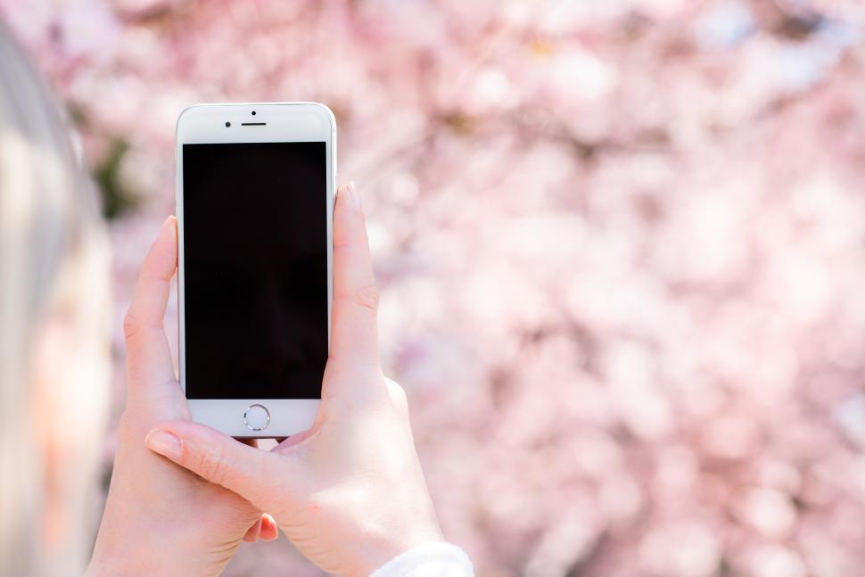 Free Image of Capturing cherry blossoms with a smartphone during spring 