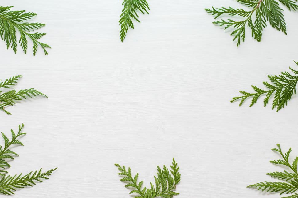 Free Image of Green leaves arranged on a white wooden surface 