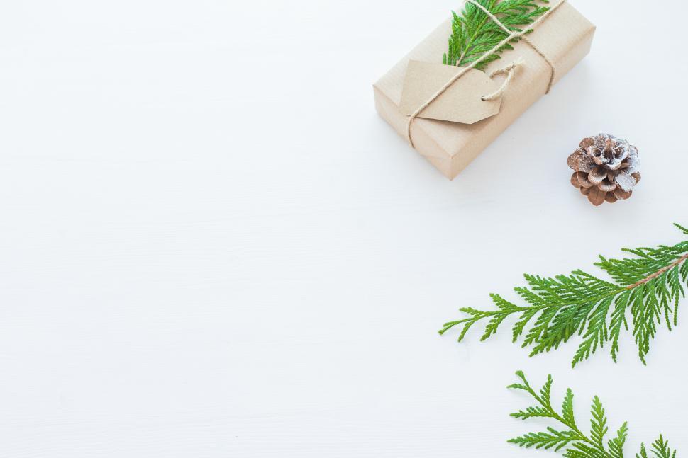 Free Image of Gift wrapped in natural elements on white 