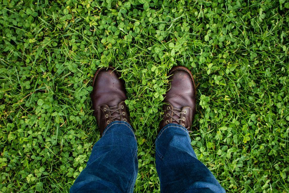 Free Image of Brown shoes on green grass in a sunny park 