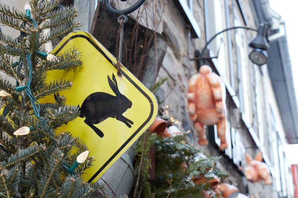 Free Image of Sign with rabbit silhouette in a quaint village setting 