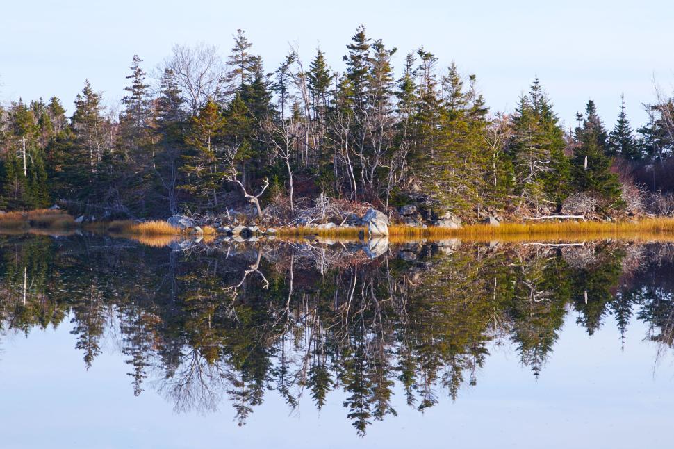 Free Image of Reflections of trees on calm water in autumn landscape 