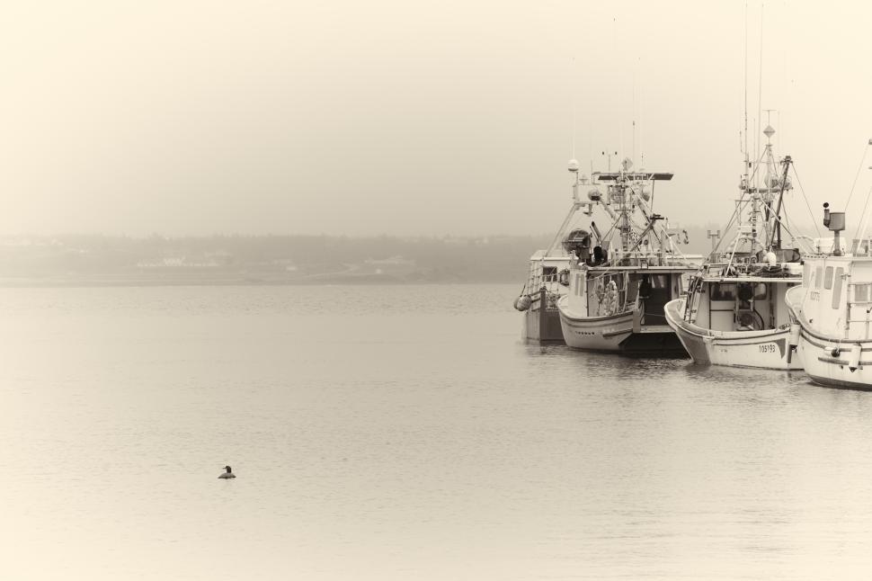 Free Image of Fishing boats docked on a serene river at dusk 