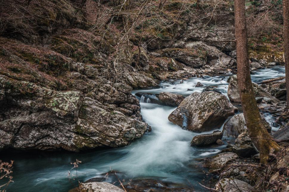 Free Image of Flowing river in a tranquil forest setting 