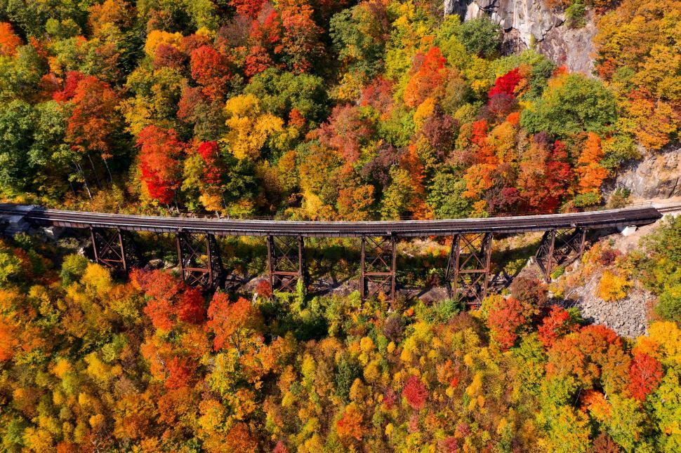 Free Image of Colorful autumn foliage over historic railway bridge 