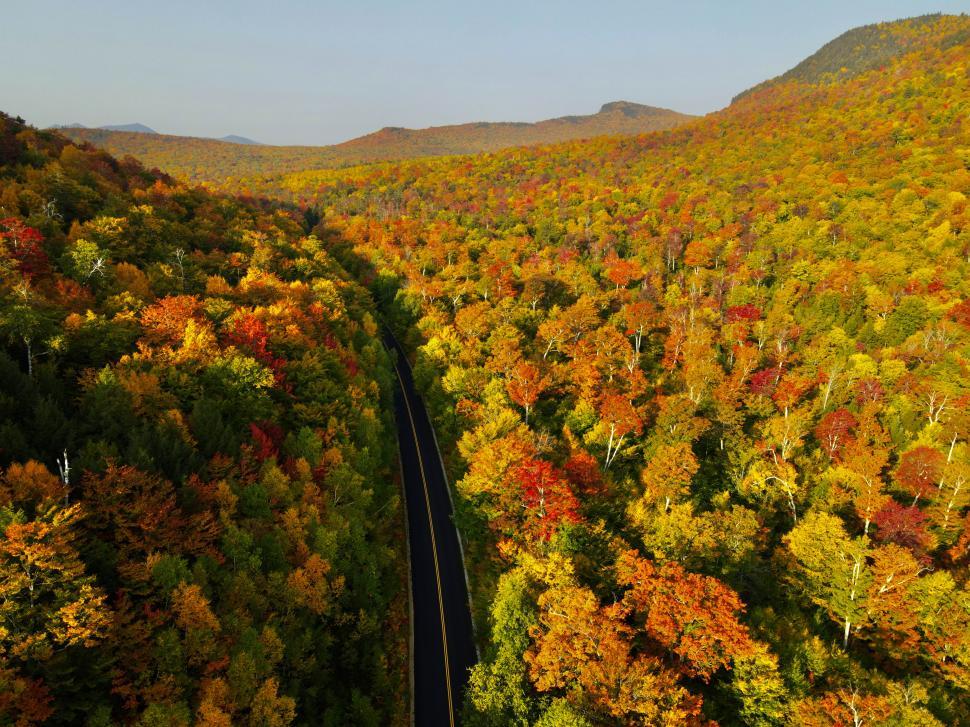 Free Image of Scenic view of autumn foliage along winding road 