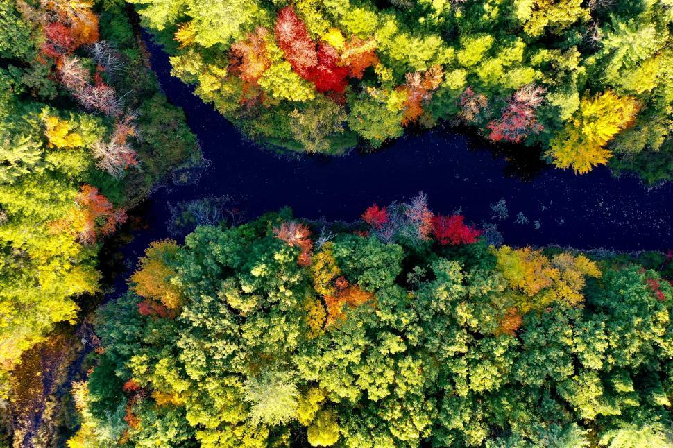 Free Image of Forest river winding through vibrant autumn foliage in nature 