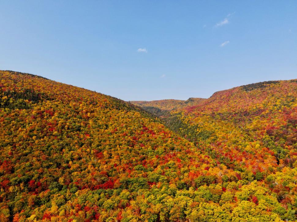 Free Image of Vibrant autumn foliage covering rolling hills in a scenic landscape 