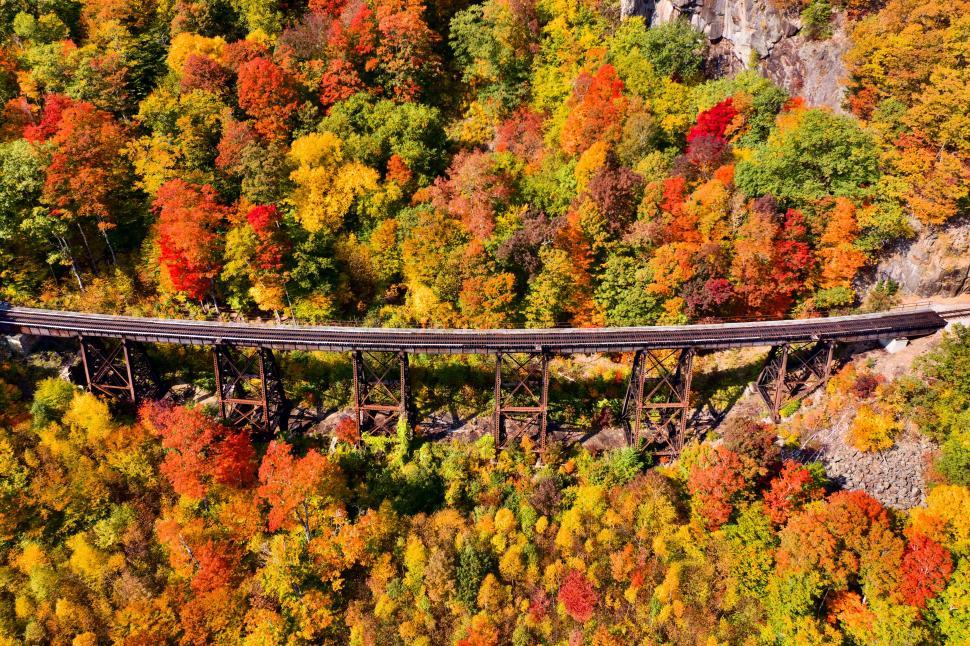 Free Image of Vibrant autumn foliage surrounds old train trestle 