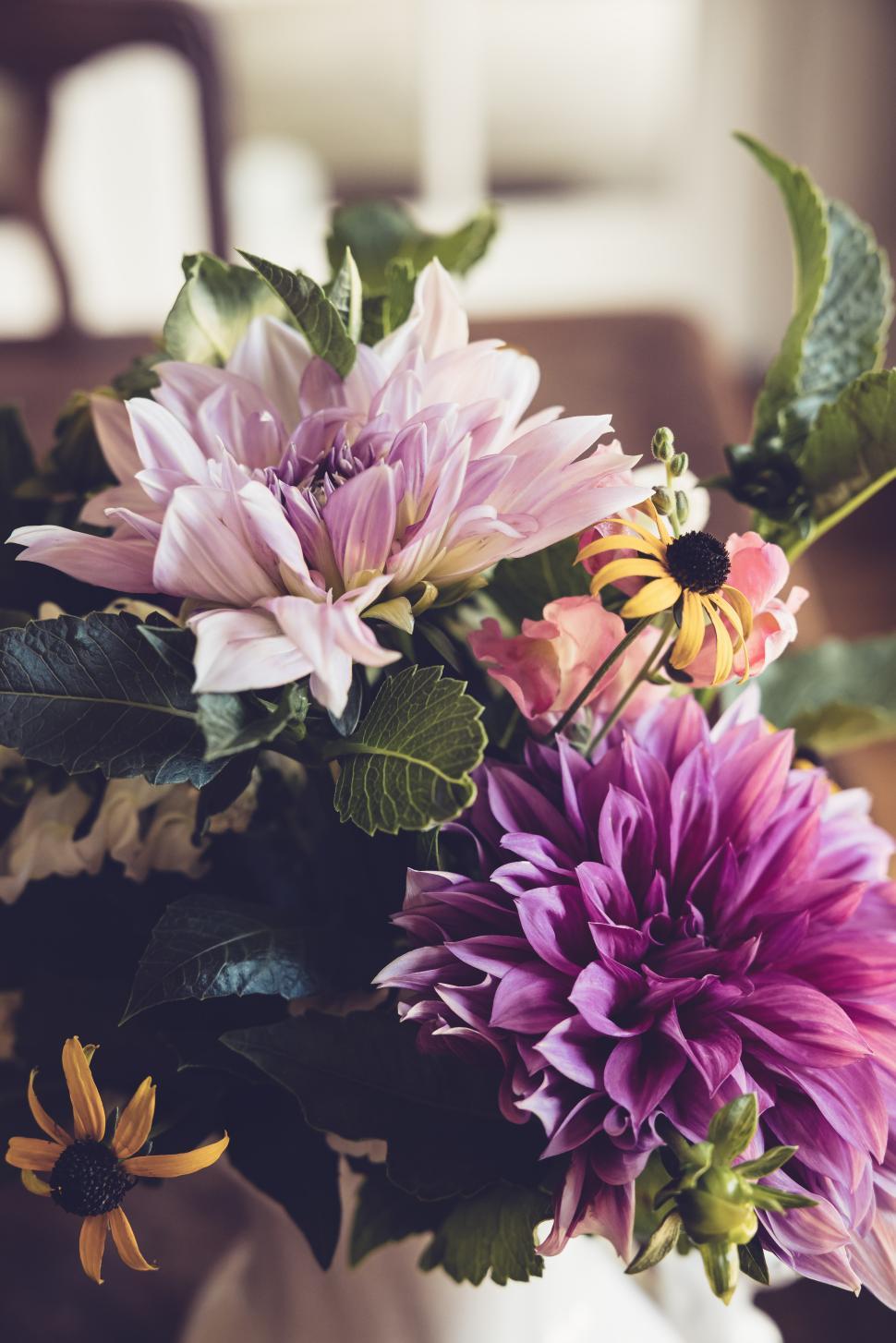 Free Image of Beautiful floral arrangement with colorful dahlias and greenery 