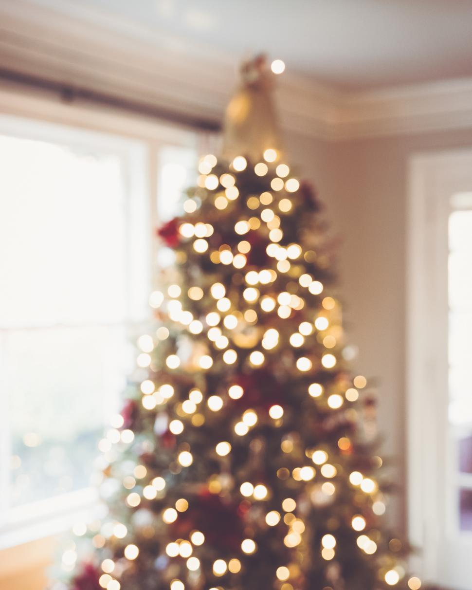 Free Image of Bright holiday lights illuminating a blurred Christmas tree indoors 