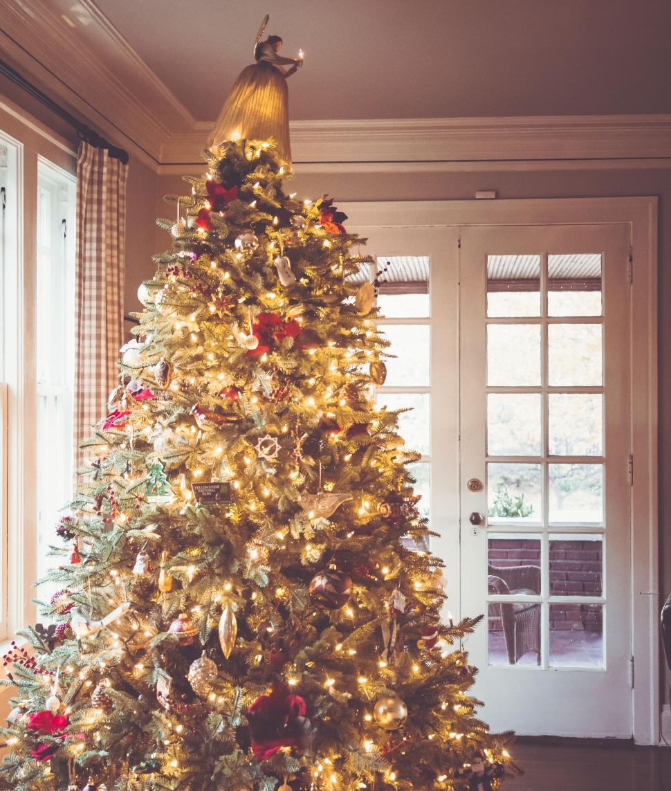 Free Image of Christmas tree adorned with lights and decorations in cozy living room 