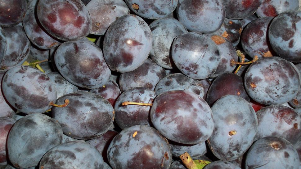 Free Image of Close-up of plums 
