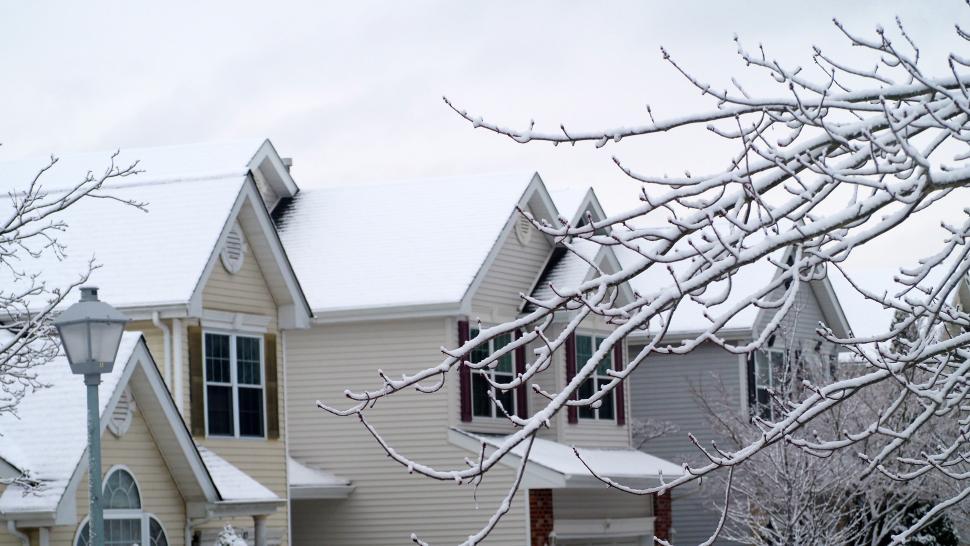 Free Image of Twigs and branches of a tree photographed against a pale sky, with dusting of a soft layer of freshly fallen snow, with snow covered roofs of homes serving as background.  