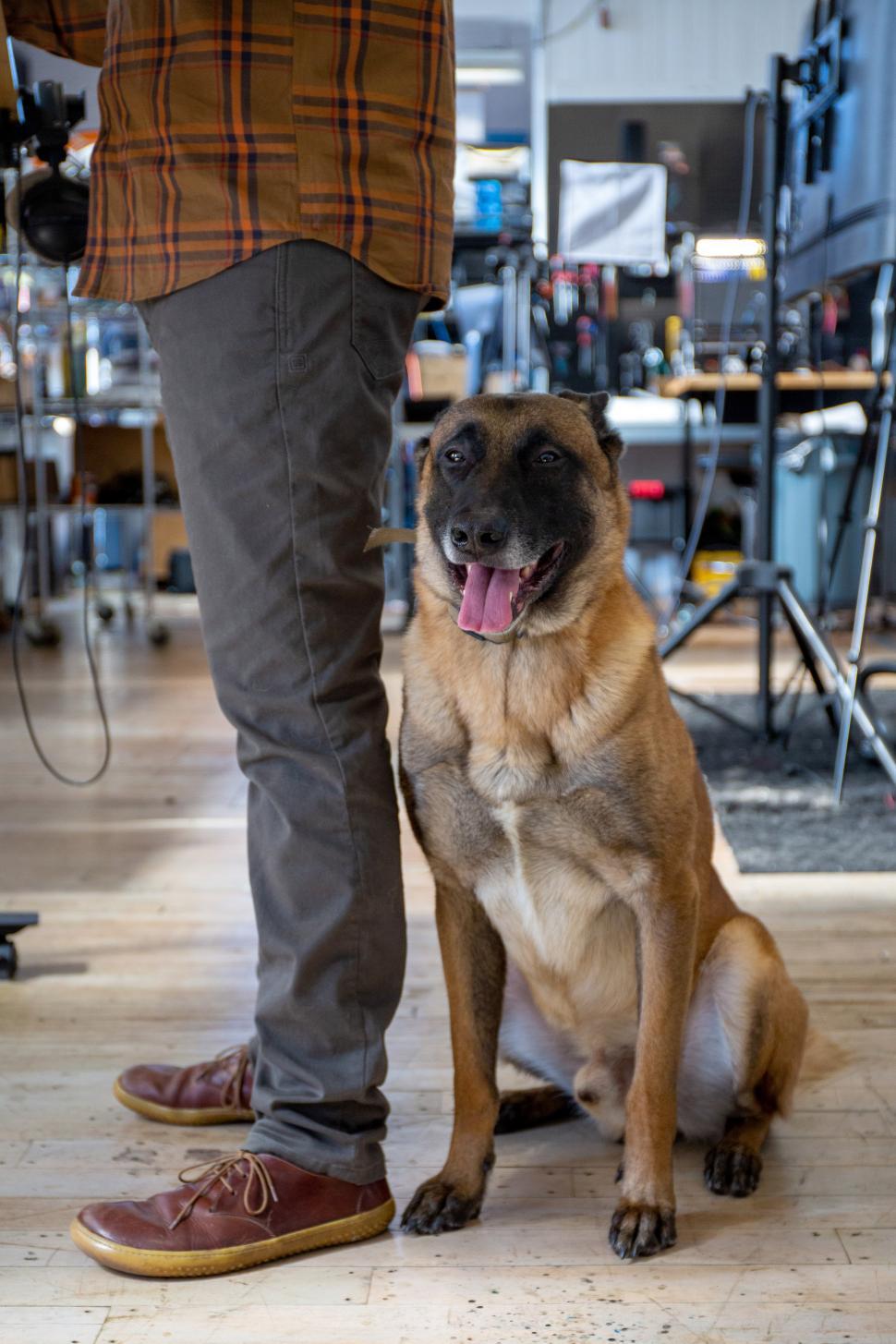 Free Image of Dog sits beside person in creative workspace environment 