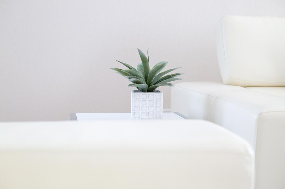 Free Image of Modern living room with elegant decor and green plant 