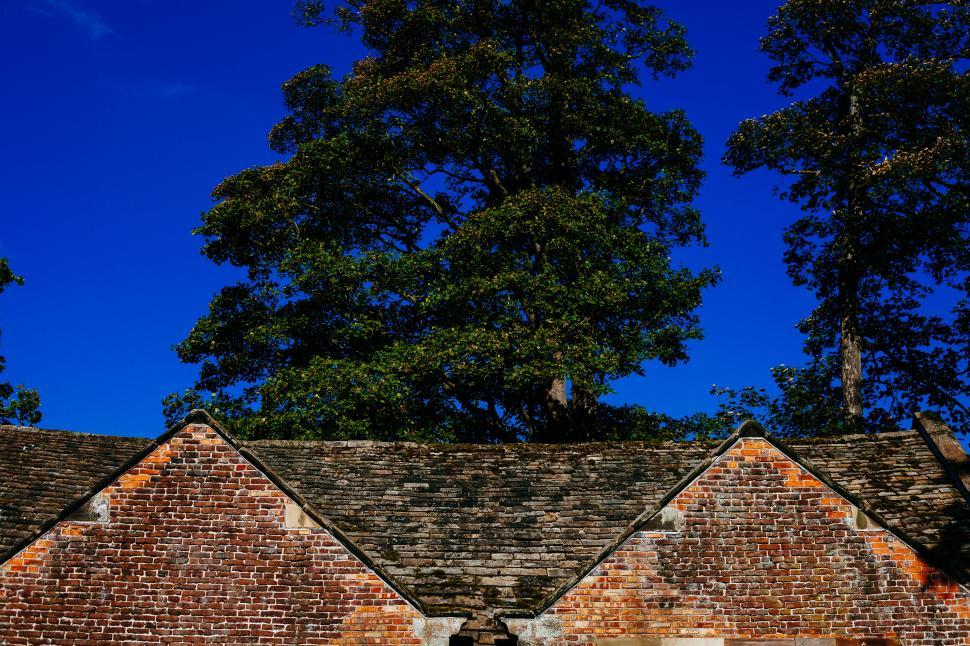 Free Image of Brick wall with trees against a clear blue sky 