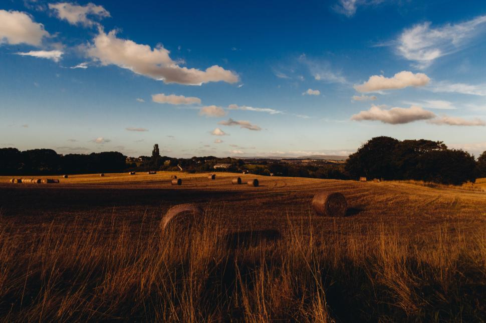 Free Image of Golden fields with hay bales under a clear sky 