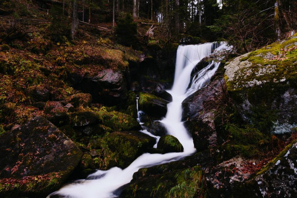 Free Image of Forest waterfall cascades down rocky slopes in autumn 