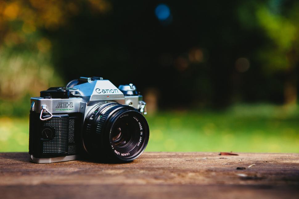 Free Image of Vintage camera showcases nature in soft light 
