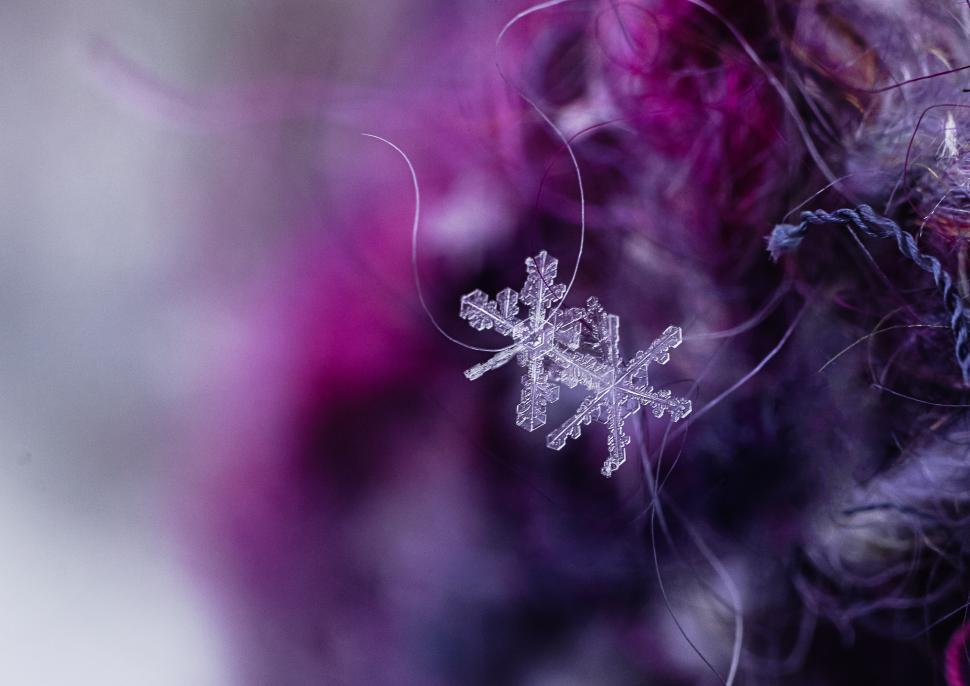 Free Image of Delicate snowflake resting on colorful fibers 