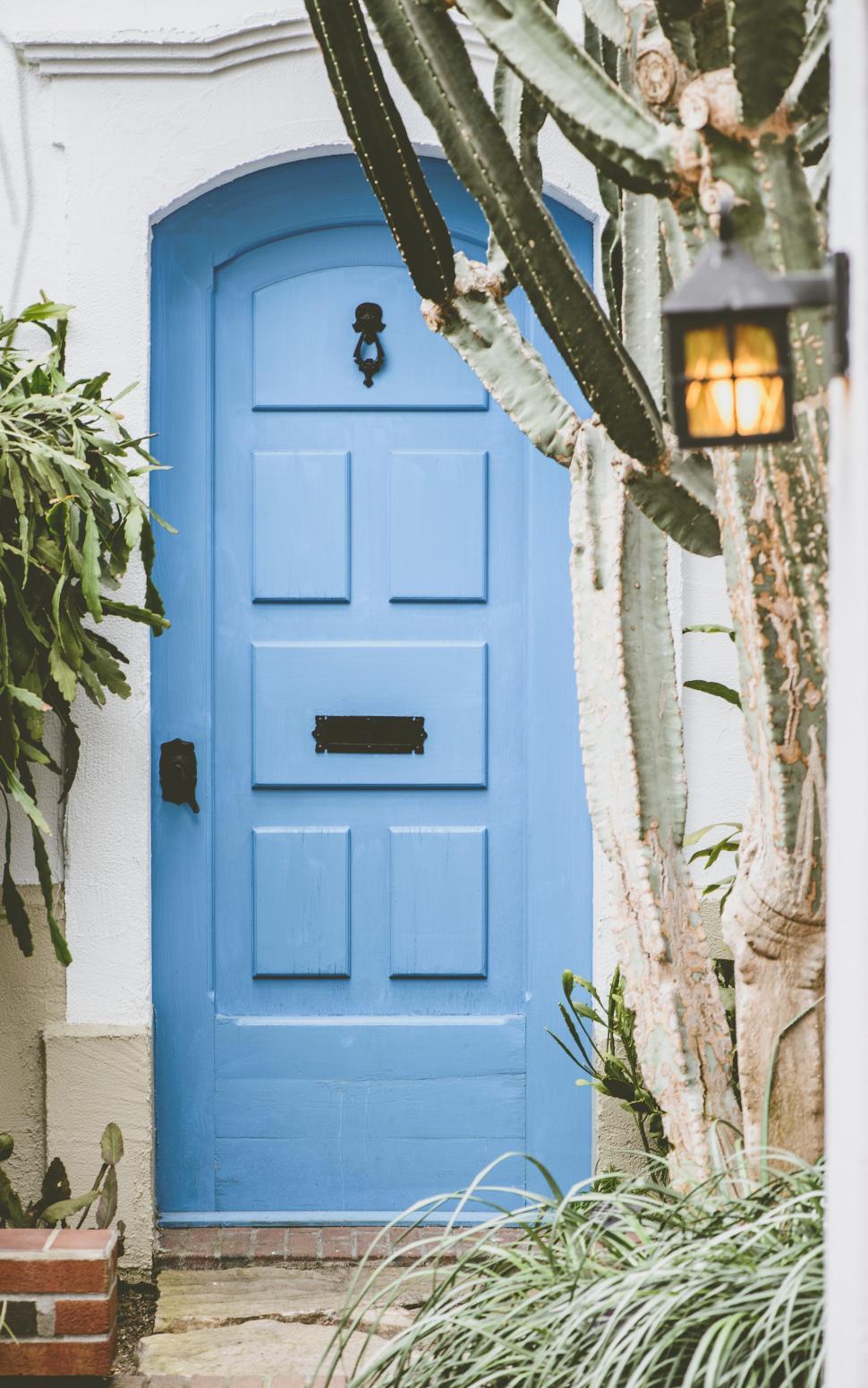 Free Image of Bright blue door framed by cactus and greenery in tropical garden 