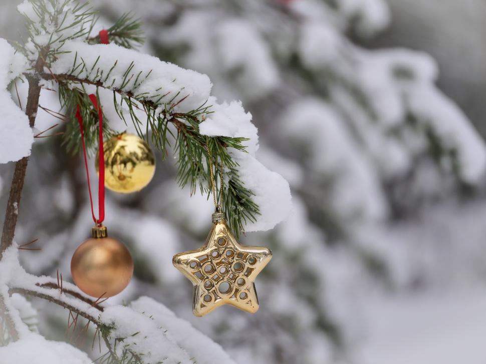 Free Image of Beautiful ornaments hanging on snow-covered pine branches 