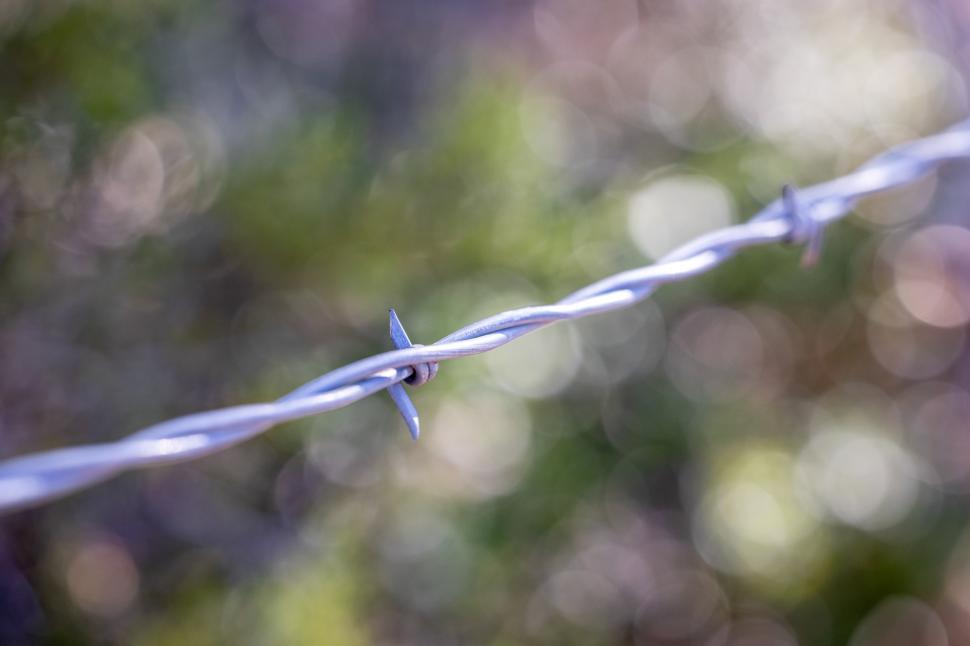 Free Image of Barbed wire glistens in natural light amidst blurred background 
