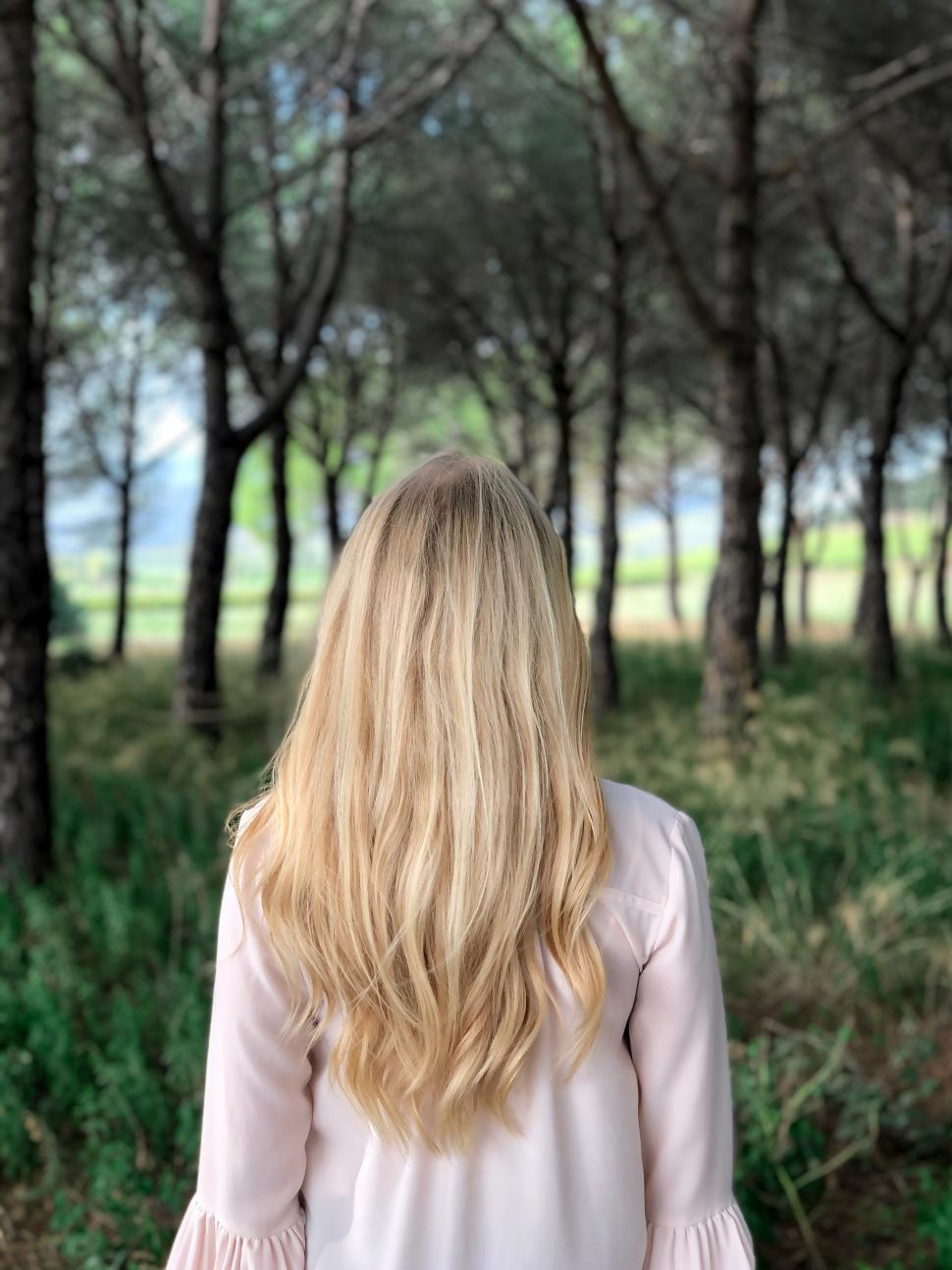 Free Image of Blonde woman standing among tall trees in a serene forest 