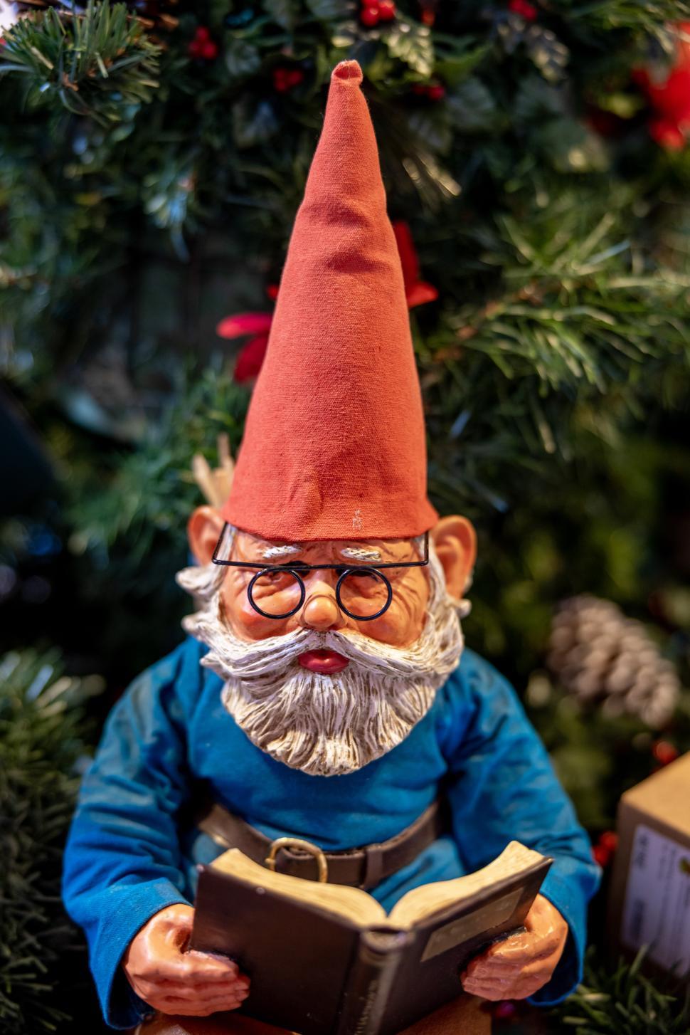 Free Image of Gnome reading a book among festive holiday decorations 